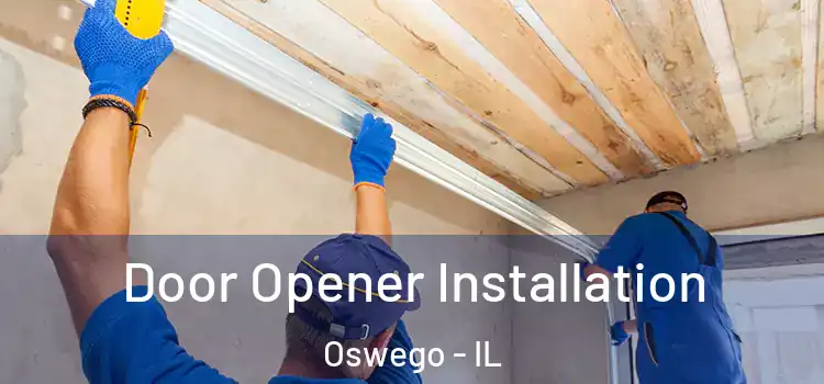 Door Opener Installation Oswego - IL