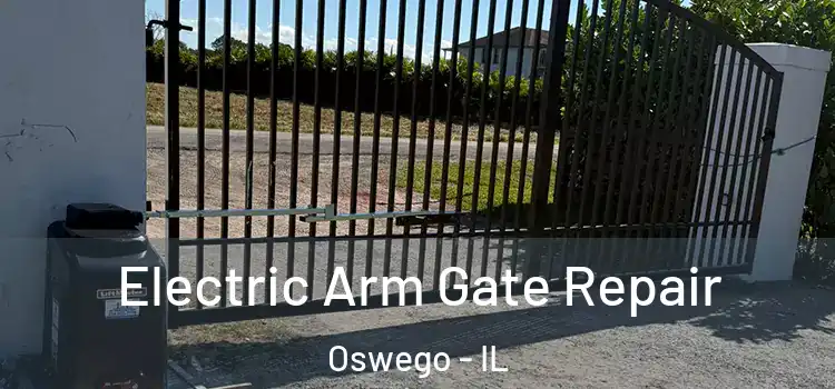 Electric Arm Gate Repair Oswego - IL