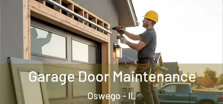Garage Door Maintenance Oswego - IL