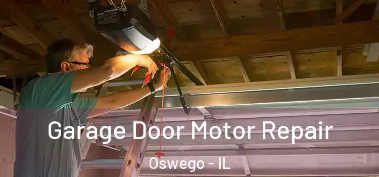  Garage Door Motor Repair Oswego - IL
