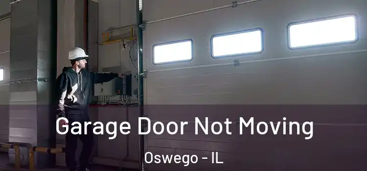  Garage Door Not Moving Oswego - IL