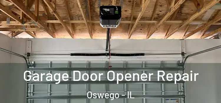  Garage Door Opener Repair Oswego - IL