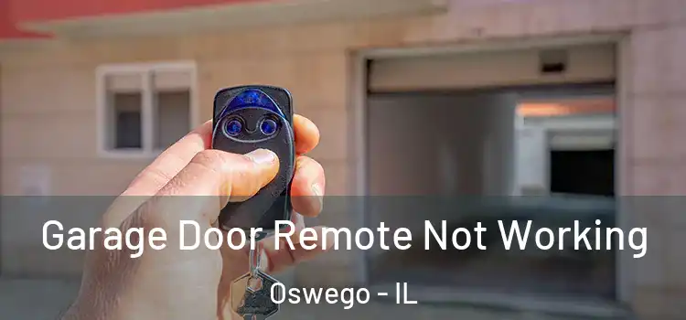  Garage Door Remote Not Working Oswego - IL