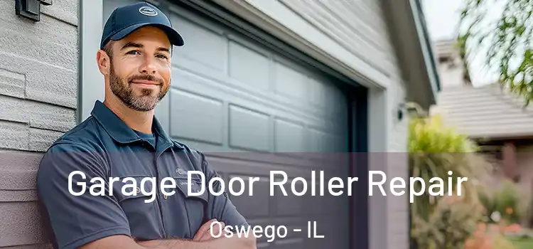  Garage Door Roller Repair Oswego - IL