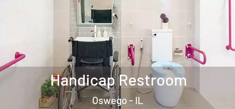 Handicap Restroom Oswego - IL