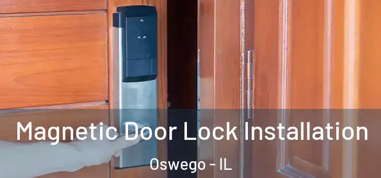  Magnetic Door Lock Installation Oswego - IL