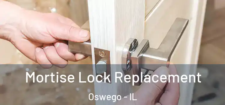 Mortise Lock Replacement Oswego - IL