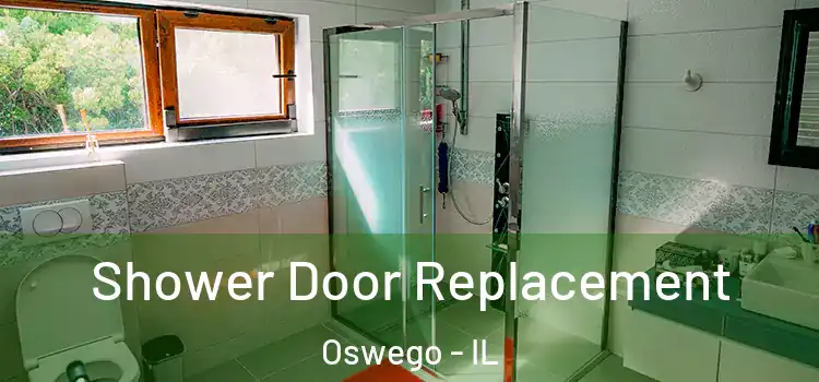 Shower Door Replacement Oswego - IL