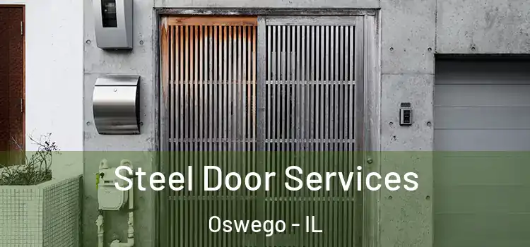 Steel Door Services Oswego - IL